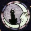 whimsikitty